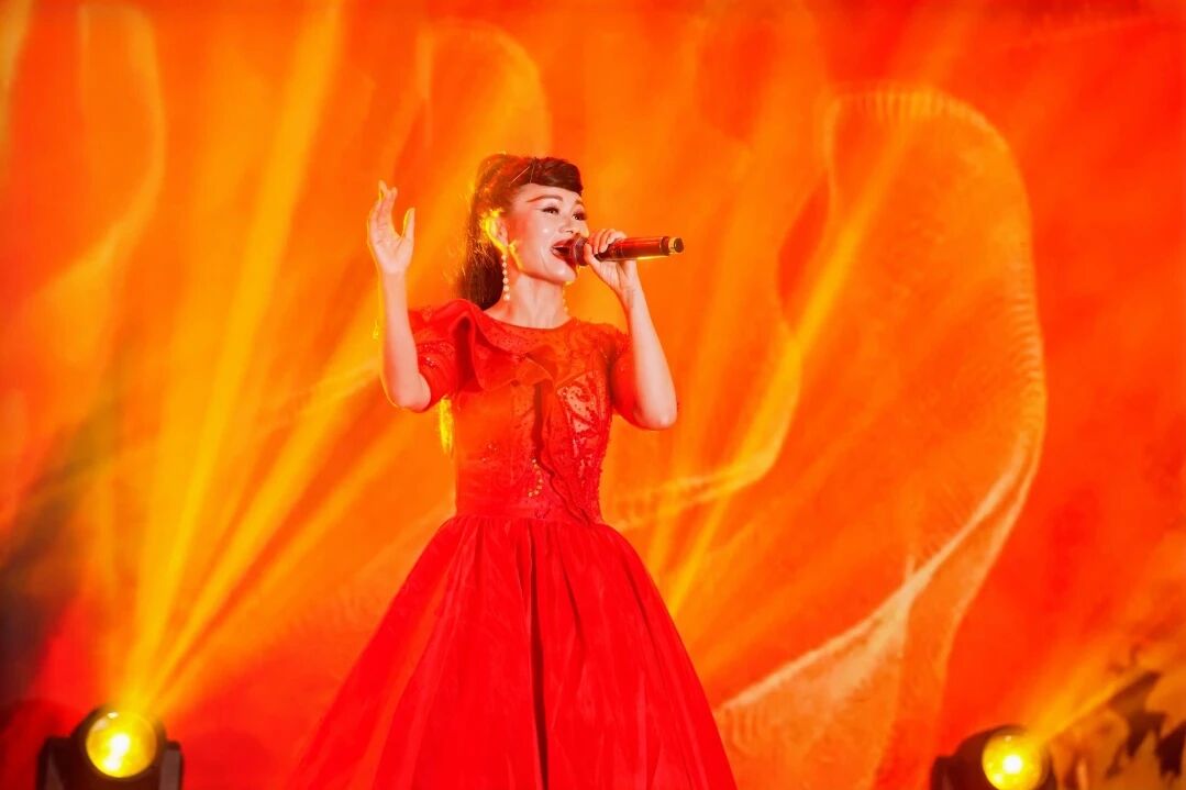 CSB长盛轴承30年庆典图片 长盛轴承30年庆典